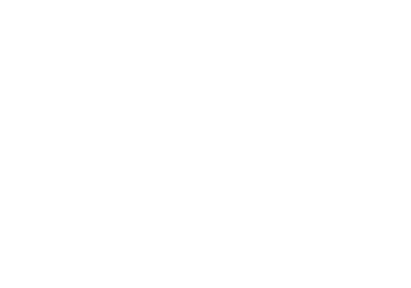 Dubai Police Academy