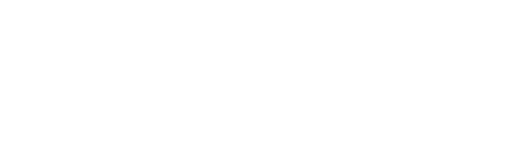 ecom solution logo (1) (1)