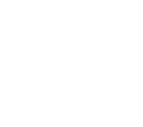 fiba